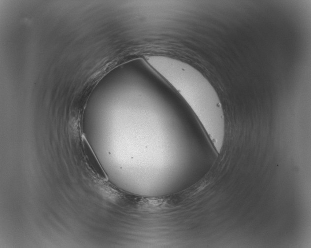 X0000077310329200610200848