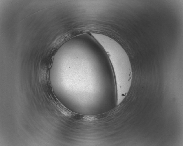 X0000077310333200610200848