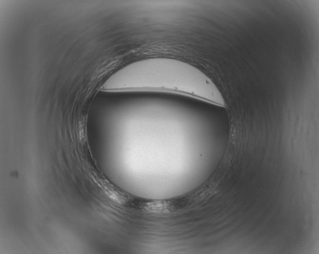 X0000077310335200610200848
