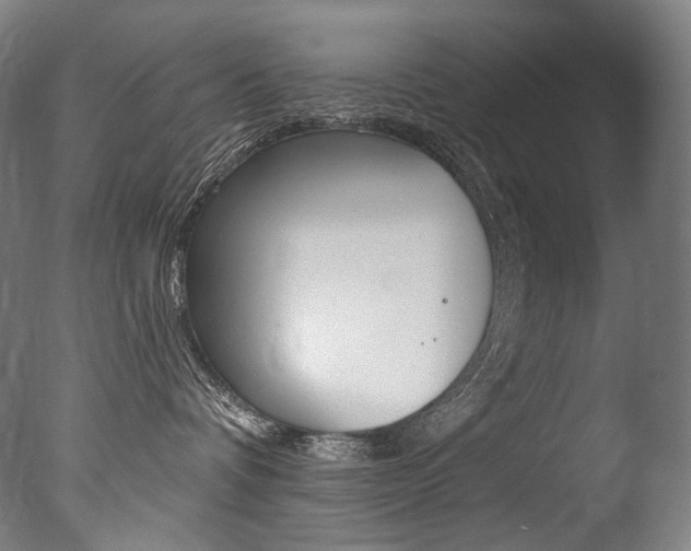 X0000077310336200610200848