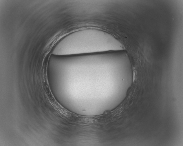 X0000077310339200610200847