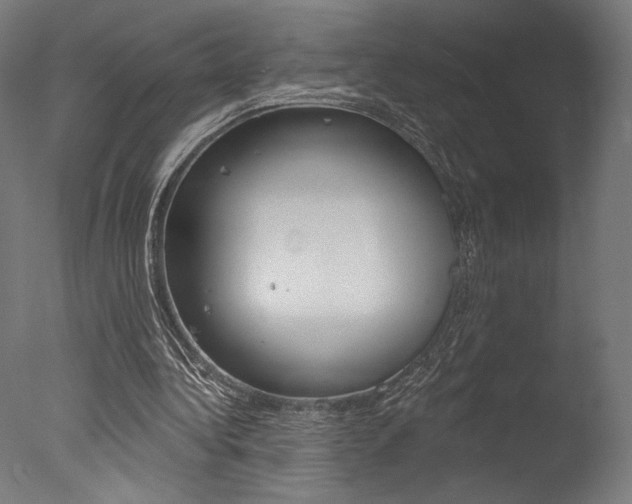 X0000077310340200610200847