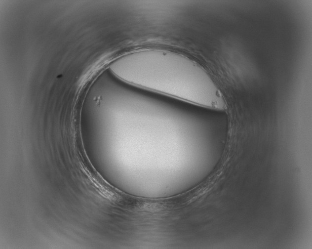 X0000077310341200610200847