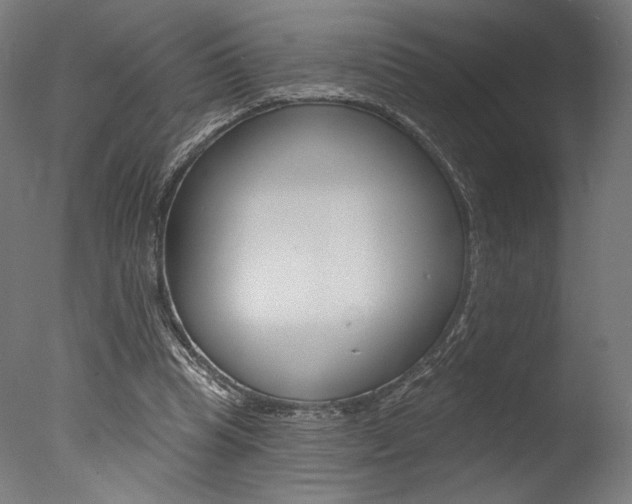 X0000077310345200610200847