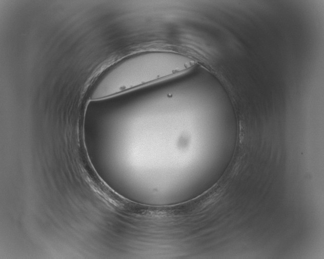 X0000077310349200610200847