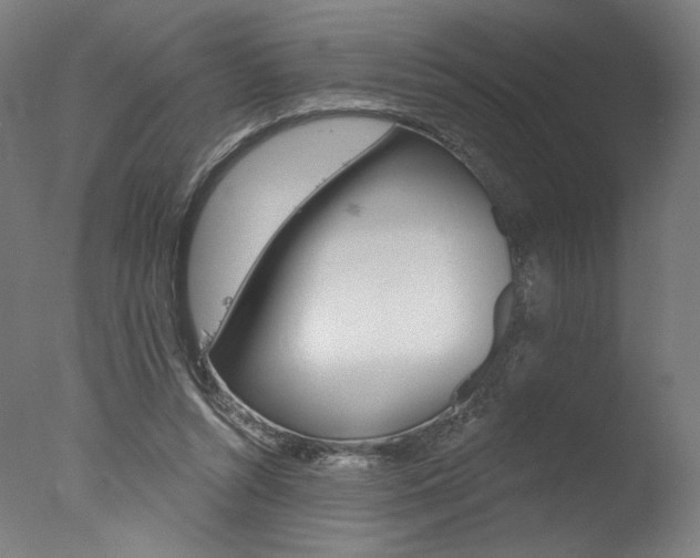X0000077310352200610200847