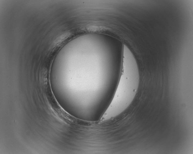 X0000077310356200610200847