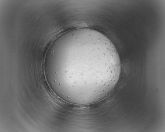 X0000077310359200610200847