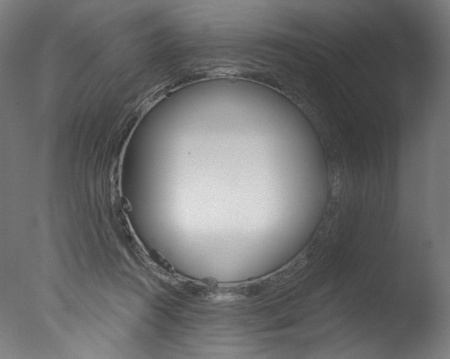 X0000077310360200610200847