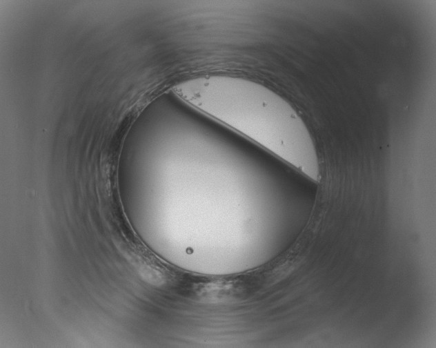 X0000077310366200610200848