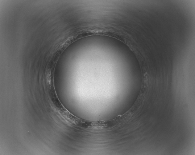 X0000077310368200610200848