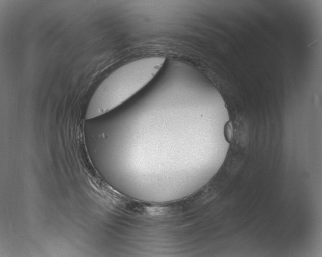 X0000077310371200610200848