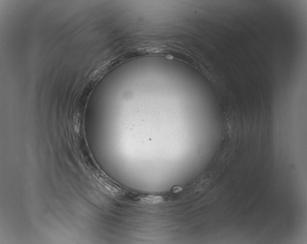 X0000077310374200610200848
