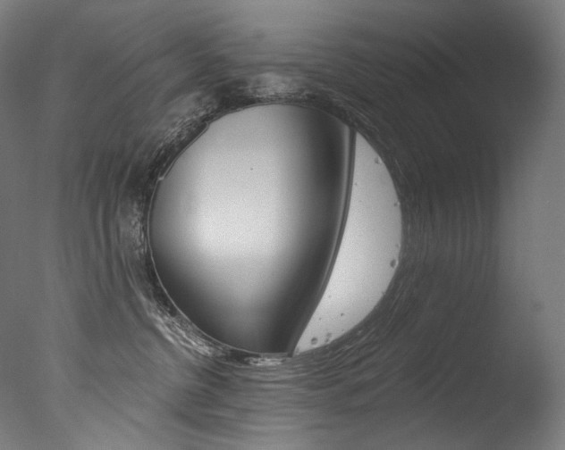 X0000077310380200610200848