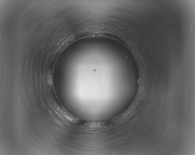 X0000077310384200610200848
