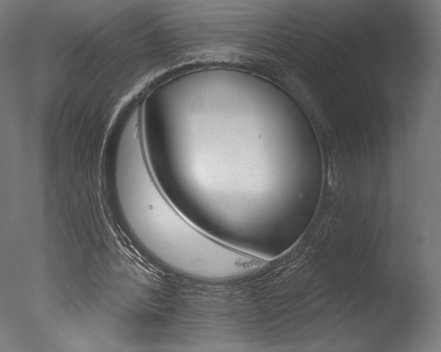 X0000077310388200610200847