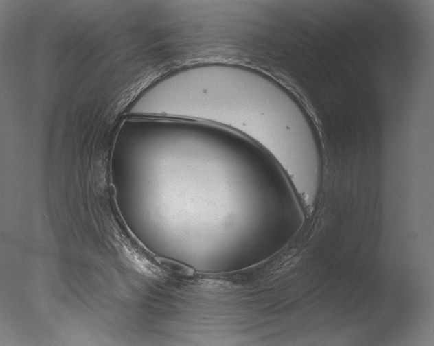 X0000077310393200610200847