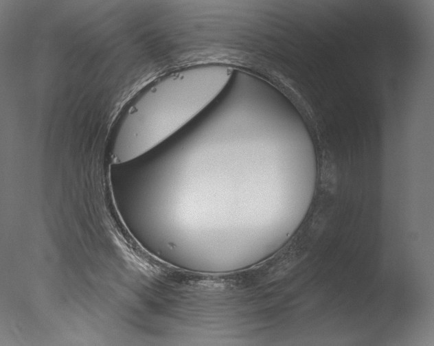 X0000077310394200610200847