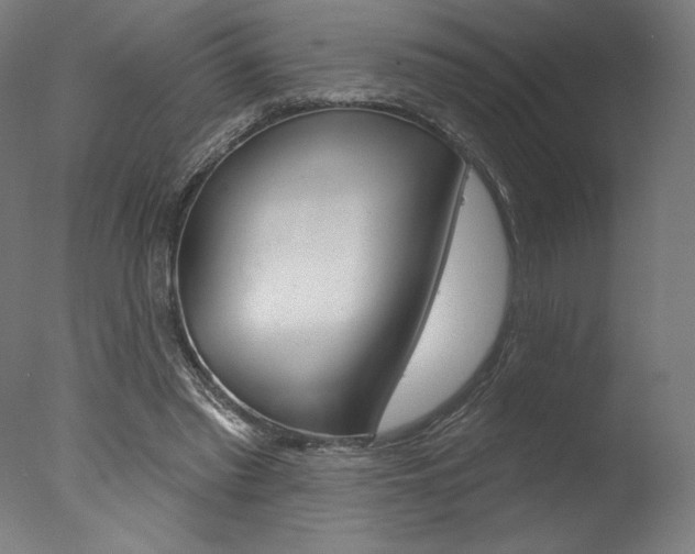 X0000077310397200610200847