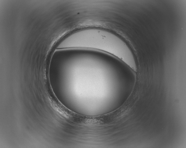 X0000077310399200610200847