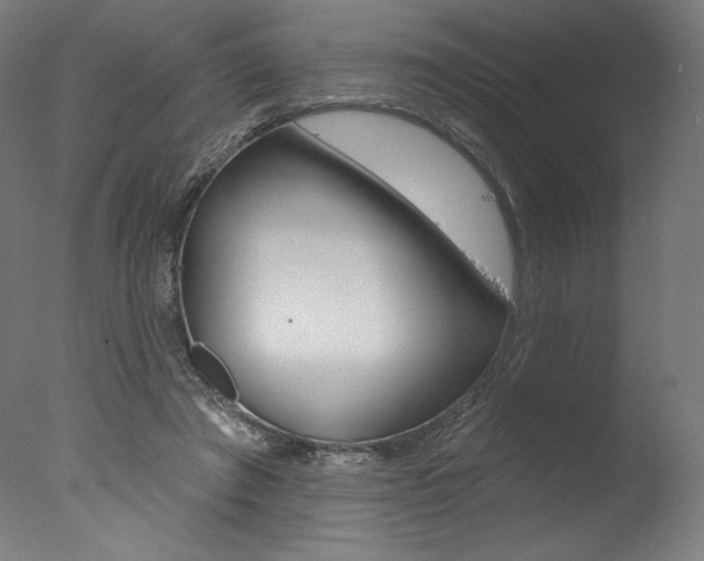 X0000077310401200610200847