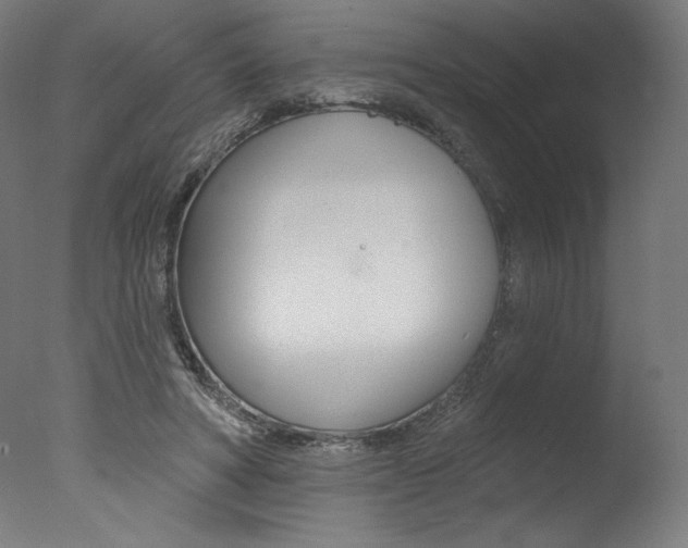 X0000077310402200610200847