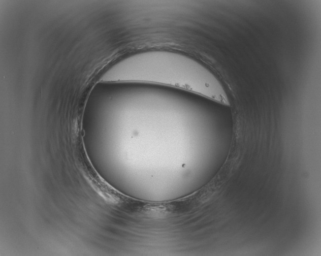 X0000077310405200610200847