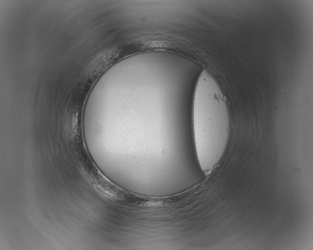 X0000077310406200610200847