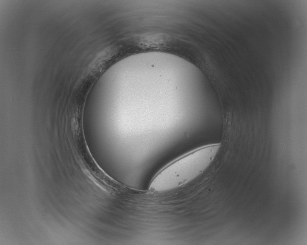 X0000077310408200610200847