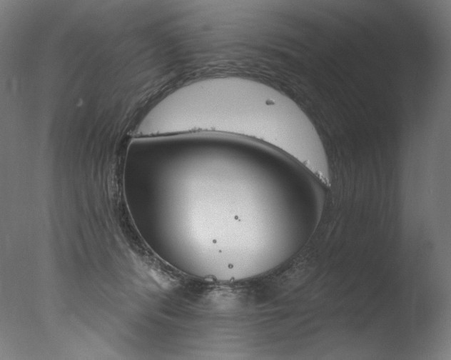 X0000077310416200610200846