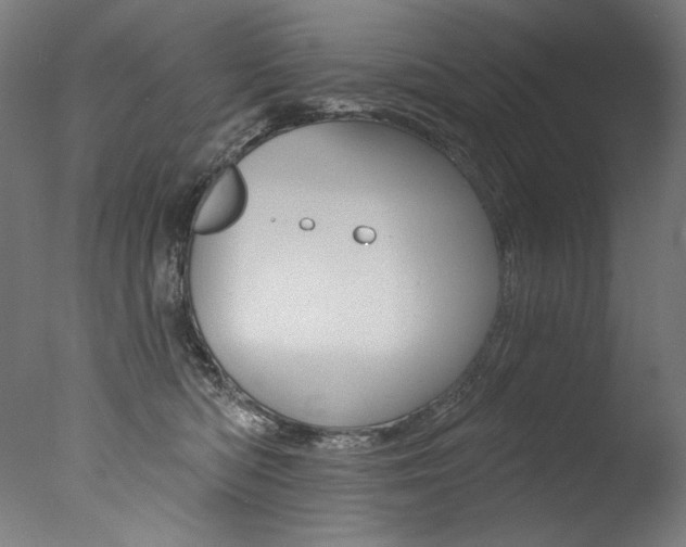 X0000077310422200610200846