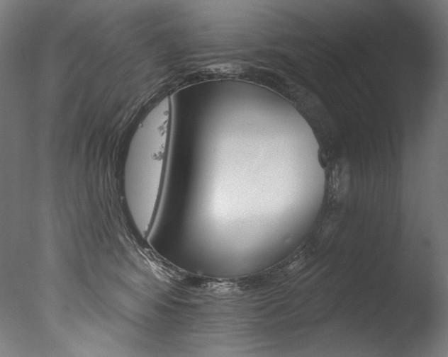 X0000077310424200610200846