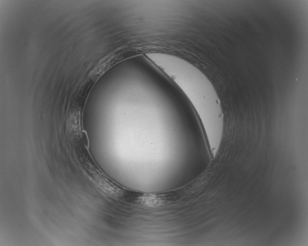 X0000077310425200610200846