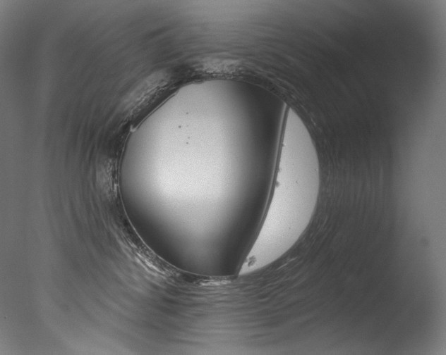 X0000077310428200610200846