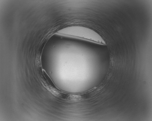 X0000077310429200610200846