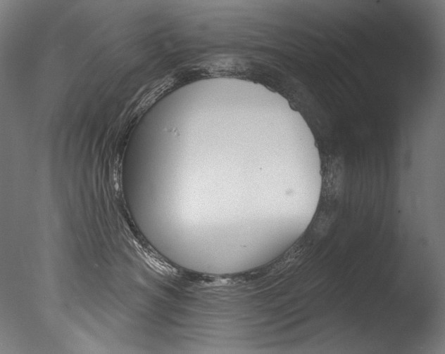 X0000077310430200610200846