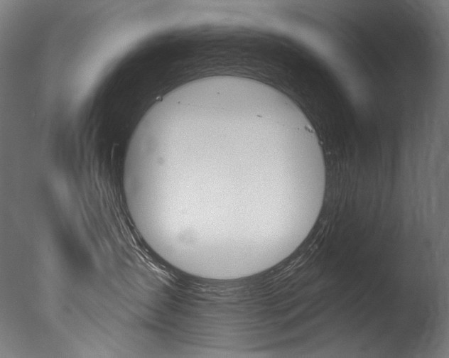 X0000077310431200610200846