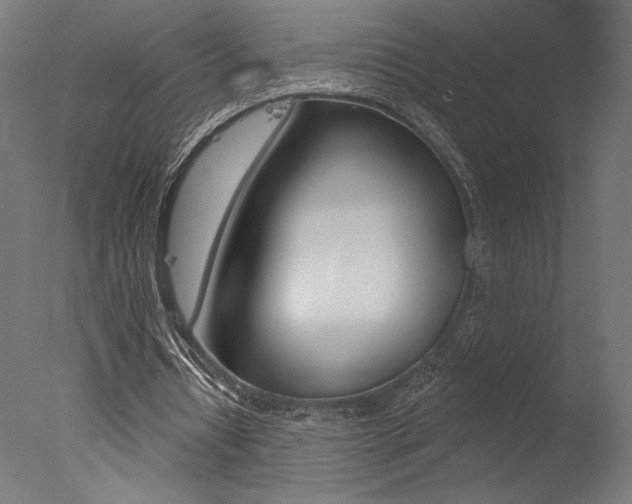 X0000077310434200610200845