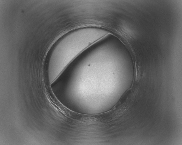 X0000077310435200610200845