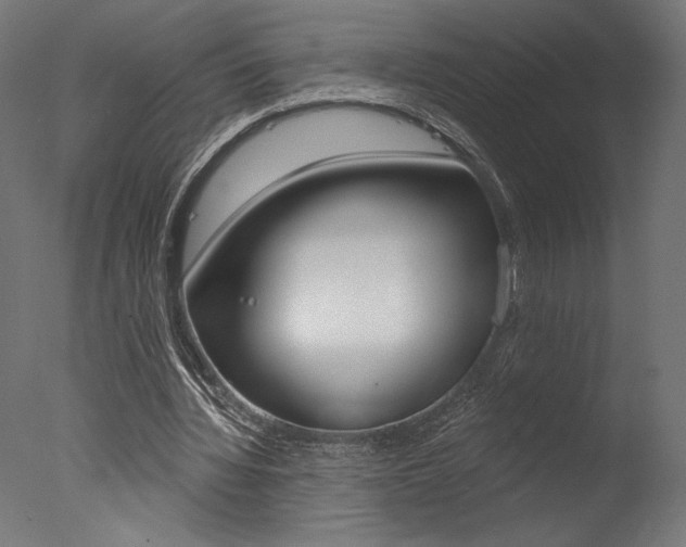 X0000077310436200610200845