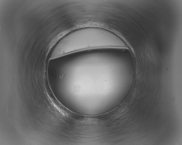 X0000077310437200610200845