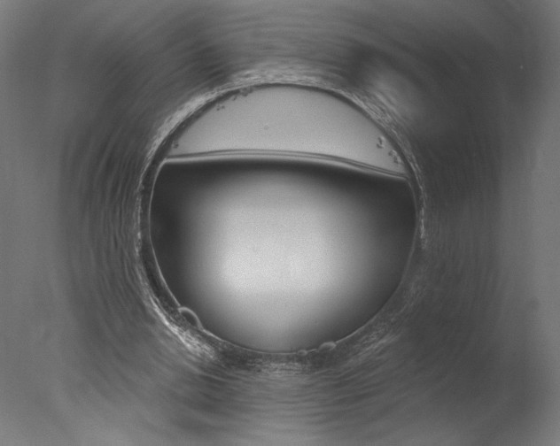 X0000077310438200610200845