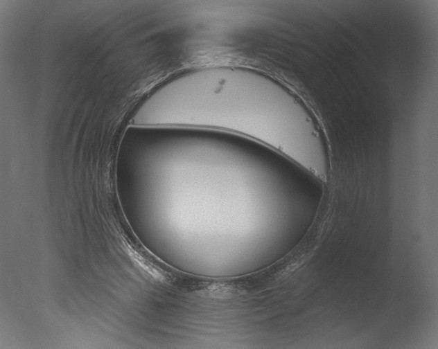 X0000077310441200610200846