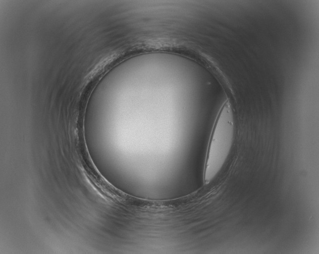 X0000077310443200610200846