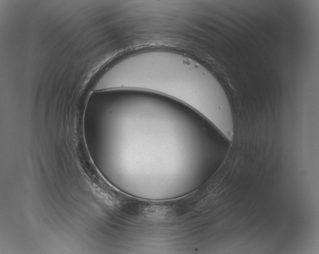 X0000077310444200610200846