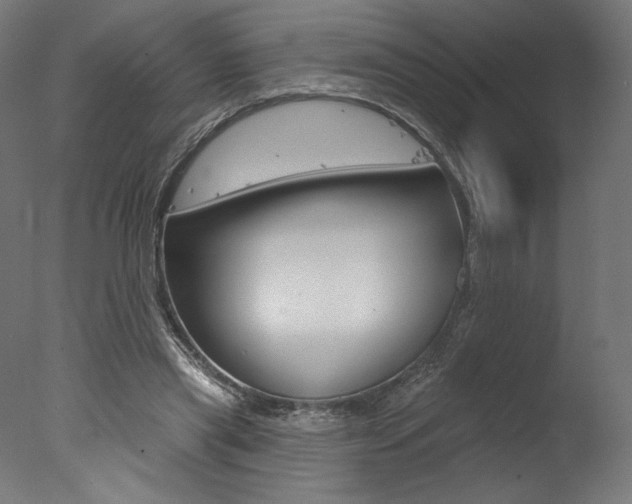 X0000077310445200610200846