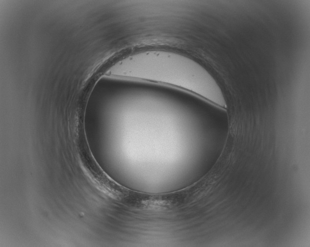 X0000077310448200610200846