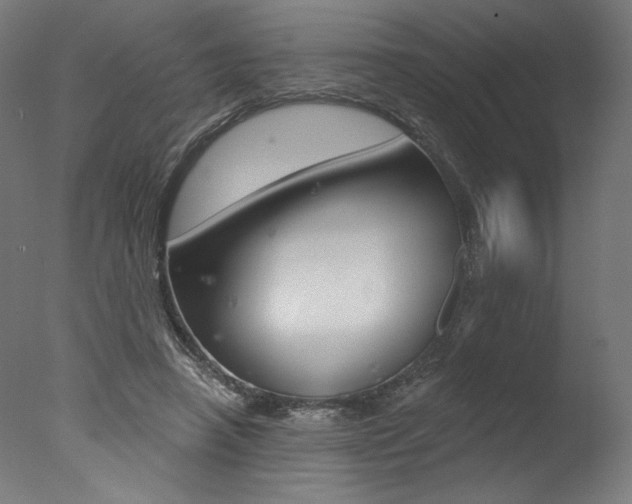 X0000077310450200610200846