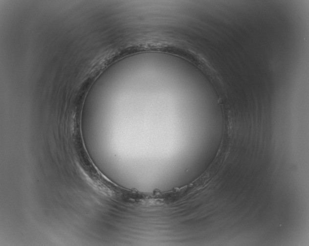 X0000077310451200610200846