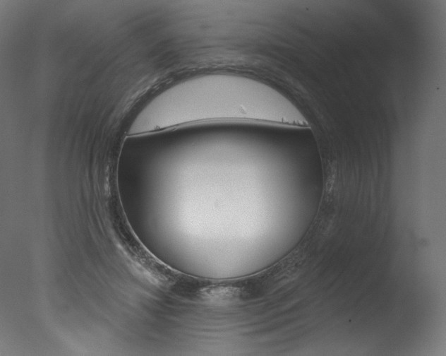 X0000077310452200610200846
